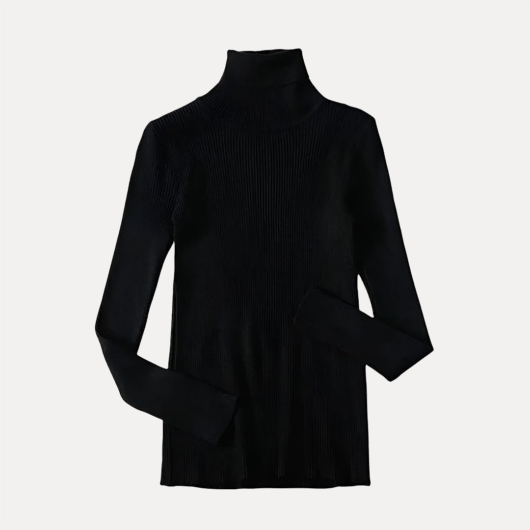 Turtleneck Sweater for Women