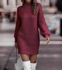 Short Fitted Long Sleeve Turtleneck Sweater Dress for Women