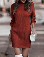 Short Fitted Long Sleeve Turtleneck Sweater Dress for Women