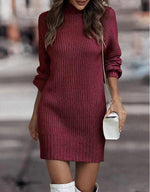 Short Fitted Long Sleeve Turtleneck Sweater Dress for Women
