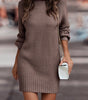 Short Fitted Long Sleeve Turtleneck Sweater Dress for Women