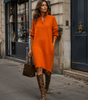 Straight Knit Sweater Dress with Long Sleeves and High Neck for Women